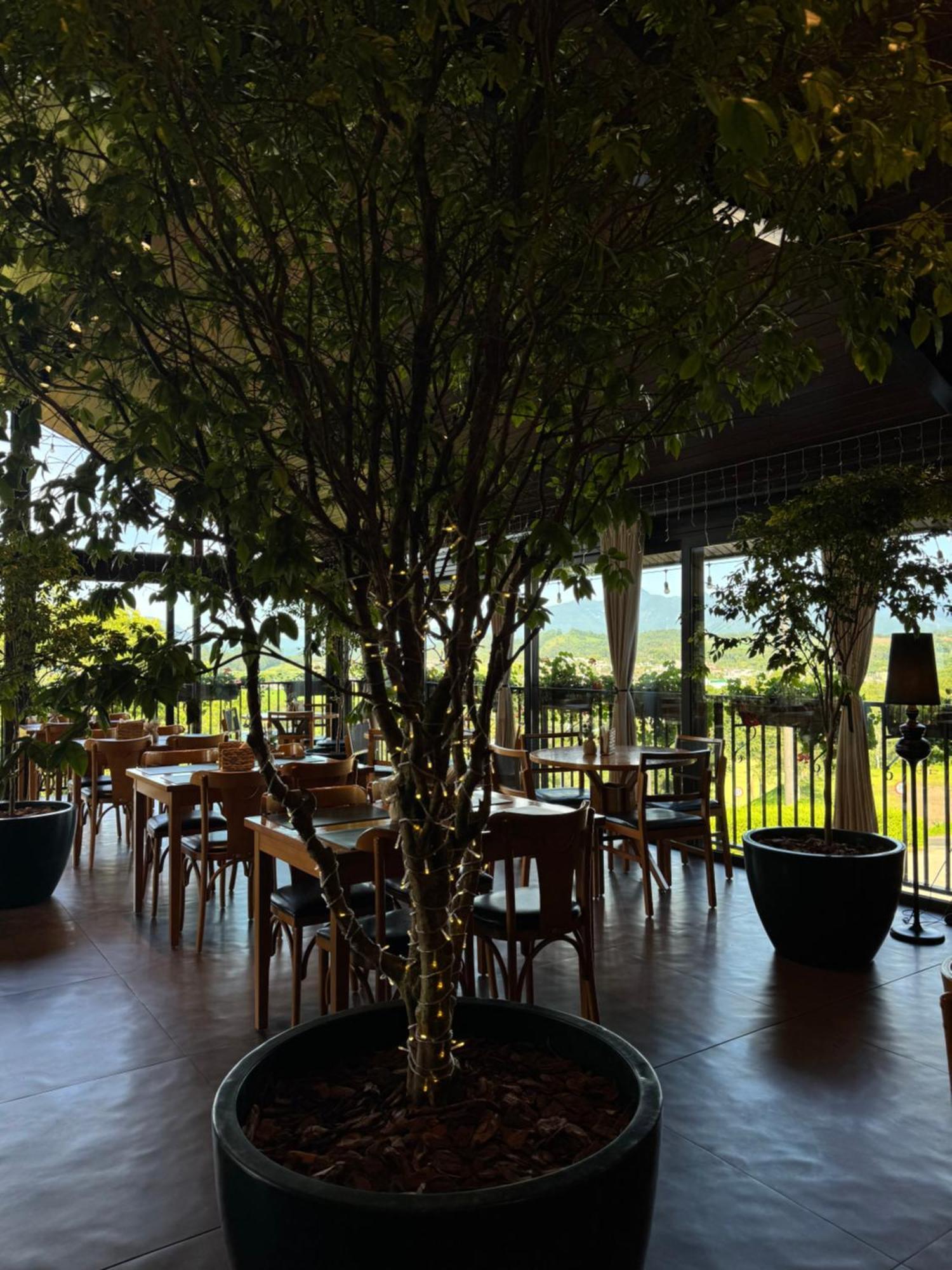 Bormon Hotel Nova Veneza  Ngoại thất bức ảnh